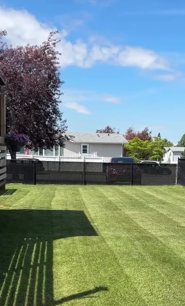 TMD seasonal lawn care