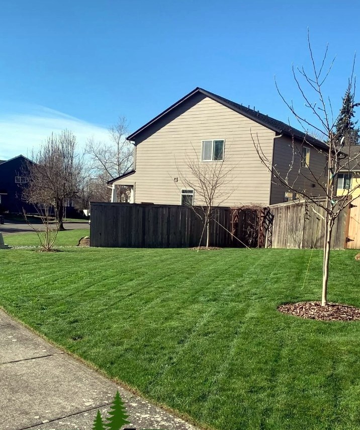 Fresh TMD lawn