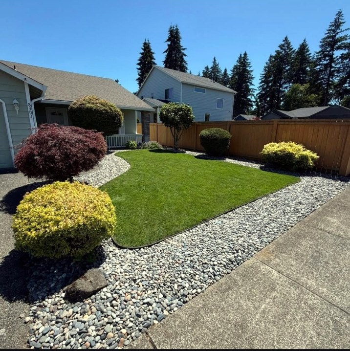 TMD lawn beside decorative rock