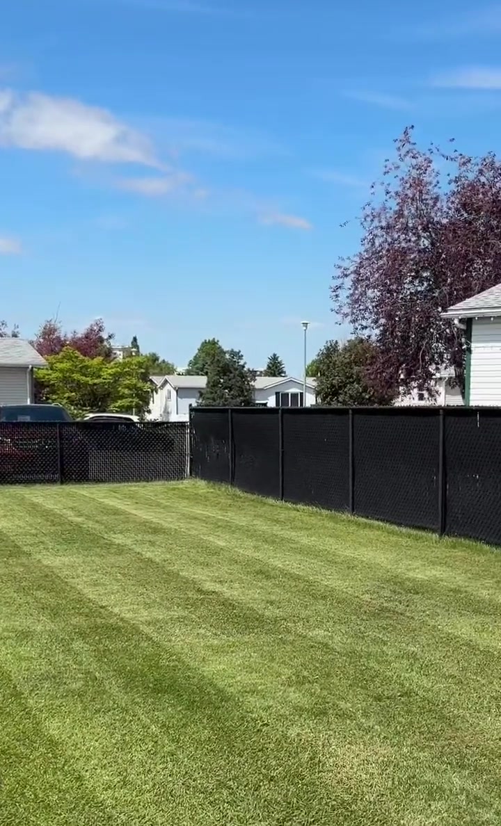 Striped lawn after weekly care
